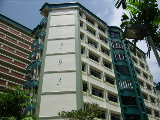Blk 393 Tampines Avenue 7 (Tampines), HDB 4 Rooms #118562